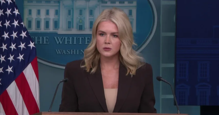 White House denies Trump aims to ‘take over’ cities with the military