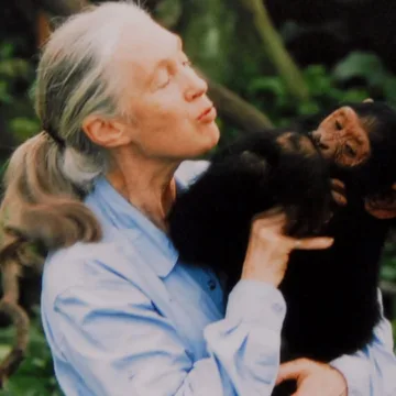 Jane Goodall, renowned chimpanzee researcher and animal advocate, dies at 91
