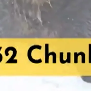 Chunk named top “Fat Bear” of 2025