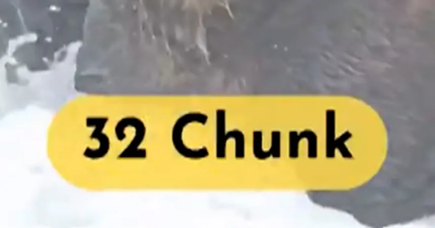 Chunk named top “Fat Bear” of 2025
