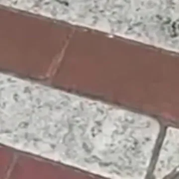 Rainbow brick crosswalk removed in Miami Beach