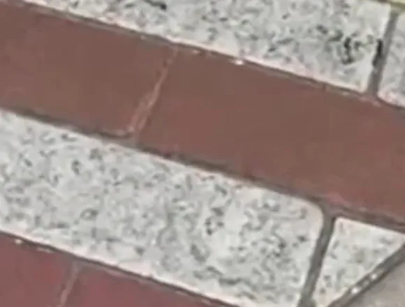 Rainbow brick crosswalk removed in Miami Beach