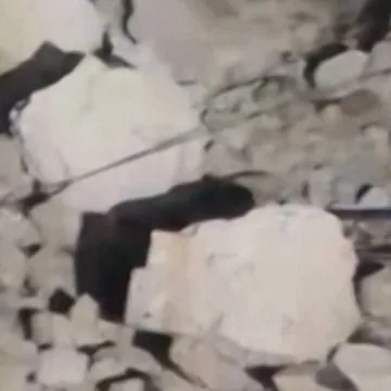 At least 20 people killed in Philippines earthquake