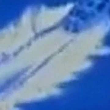 U.S. strikes alleged Venezuelan drug smuggling boat