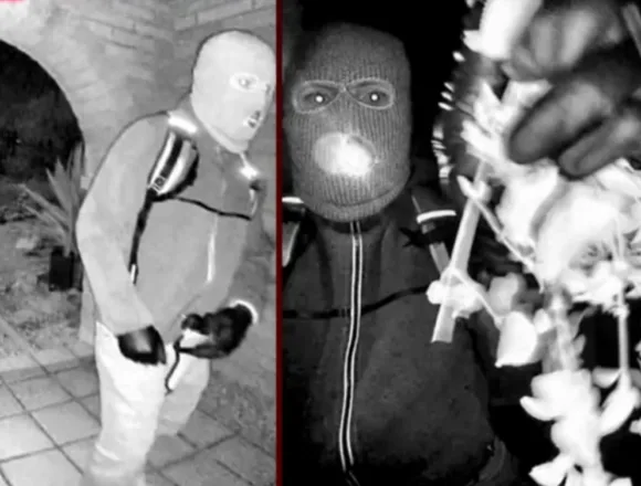 What the detainment in the Guthrie case could mean for the investigation