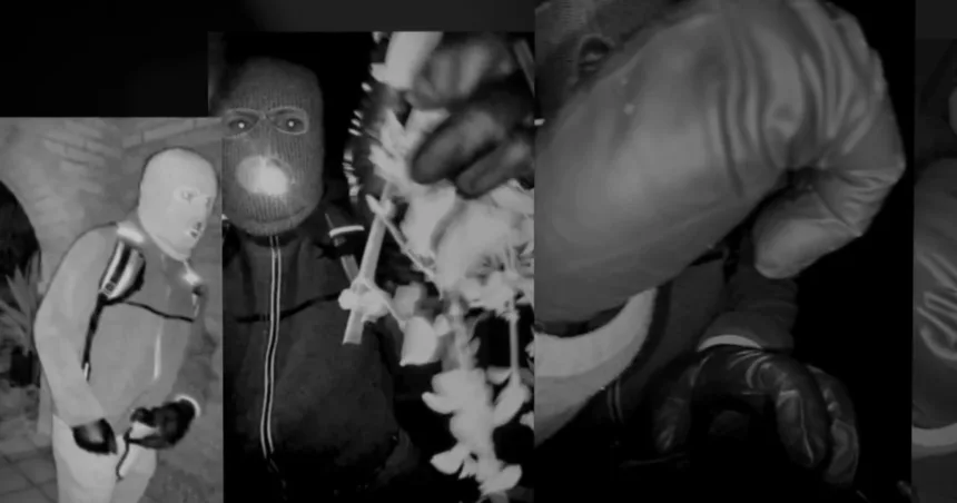 Analyzing images of armed man on Nancy Guthrie’s porch