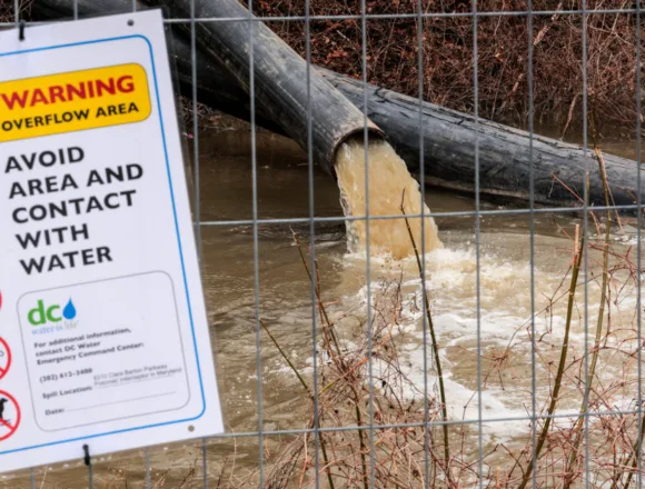 Potomac River E-coli levels skyrocket after 240 million gallons of sewage pour into waterway