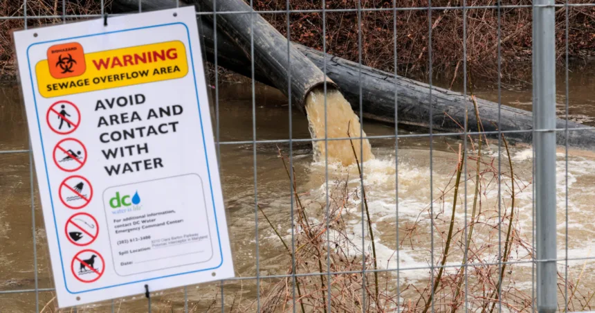 Potomac River E-coli levels skyrocket after 240 million gallons of sewage pour into waterway