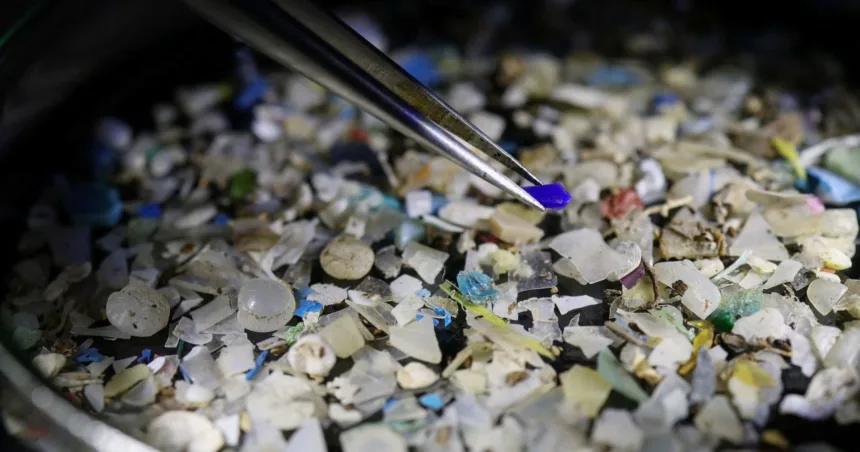 Microplastics found in prostate tumors in small study