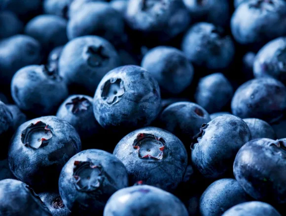260226-blueberries-ch-1045-d0ee4e.jpg Over 55,000 pounds of blueberries recalled for potentially fatal listeria contamination