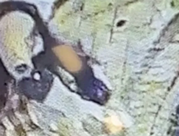 260226-caregiver-at-an-assisted-living-facility-in-Potomac-ch-1339-bed416.jpg Maryland man donned disguise to kill millionaire philanthropist in nursing home, police say