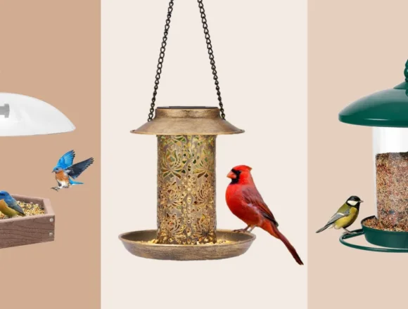 260323-bird-feeders-vl-main-fa8c0c.jpg The Best Bird Feeders of 2026