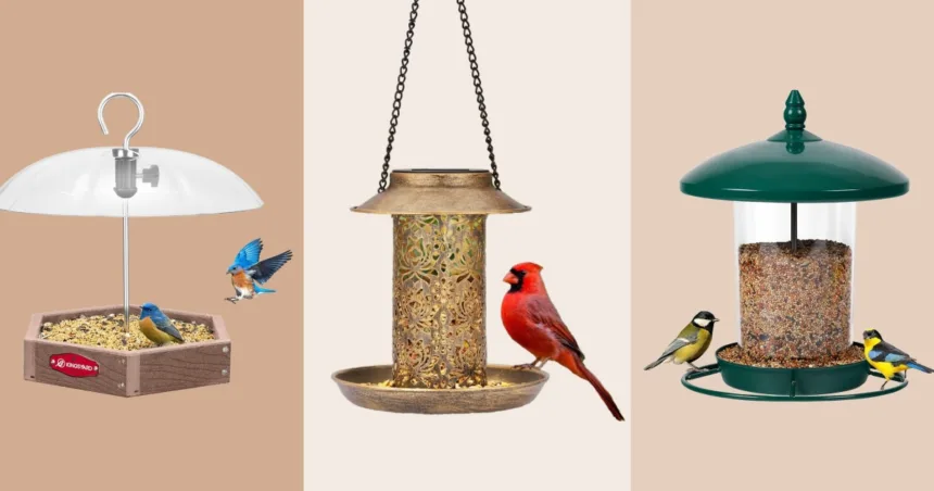 260323-bird-feeders-vl-main-fa8c0c.jpg The Best Bird Feeders of 2026