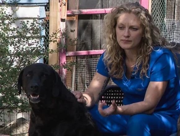 260330-colorado-dog-vsb-2255-eed7e7.jpg Meth-laced hot dogs have twice sickened a family’s pups. Police don’t know who’s responsible or why.