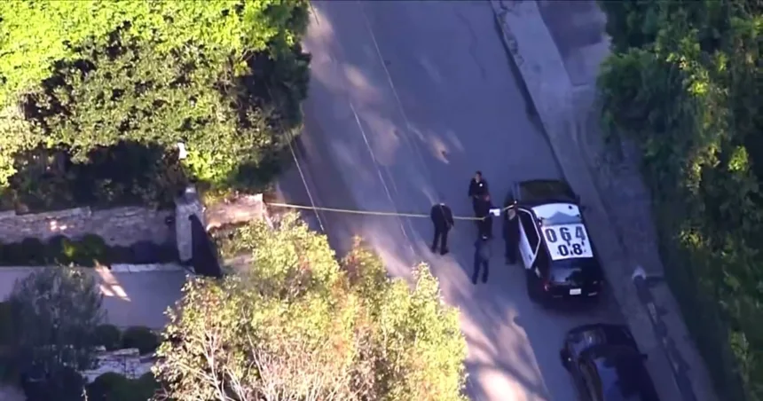 Woman arrested after allegedly firing shots at Rihanna’s L.A. home, police say