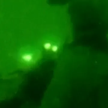 IDF troops conduct ‘ground operations’ in Lebanon