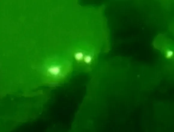 f_vert_brk_idf_troops_lebanon_260316.00_00_20_28.Still002-osqiyj.jpg IDF troops conduct ‘ground operations’ in Lebanon