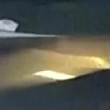 Tiger Woods seen walking out from Florida jail