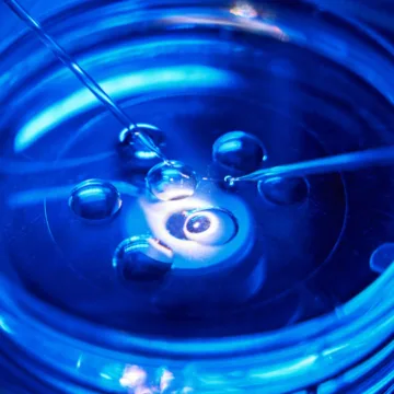 IVF clinic accused of embryo mix-up closes amid legal and financial problems