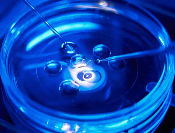 IVF clinic accused of embryo mix-up closes amid legal and financial problems