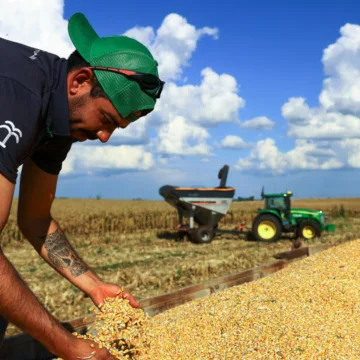 How the Iran war could shatter global food security