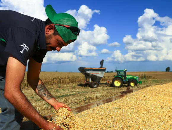 How the Iran war could shatter global food security