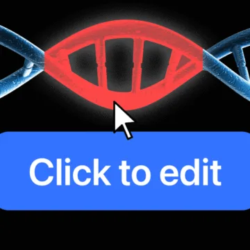 260403-gene-editing-cholesterol-lr-67c0c4.jpg To lower cholesterol, these patients got a one-time tweak to their genes