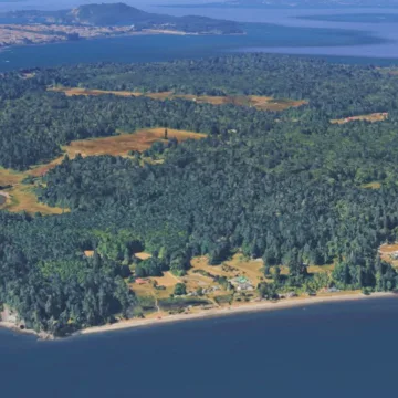 21 dead canines mysteriously wash ashore on Washington state island