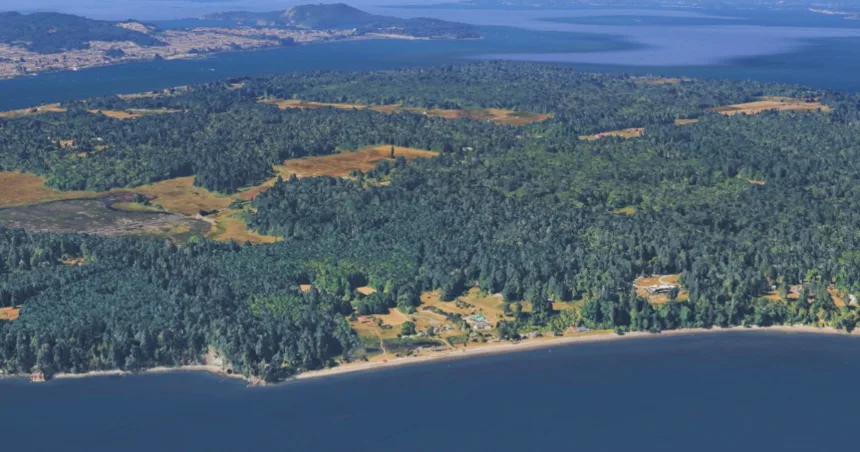 260403-guemes-island-wasington-ew-1144a-358d5e.jpg 21 dead canines mysteriously wash ashore on Washington state island