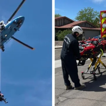 Hiker airlifted off Arizona mountain after being stung over 100 times by bees