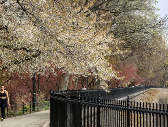 Another early heat wave hits, this time in Northeast