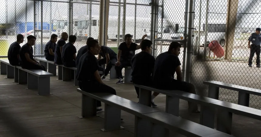 Death rate in immigration detention has reached a 22-year-high, doctors say