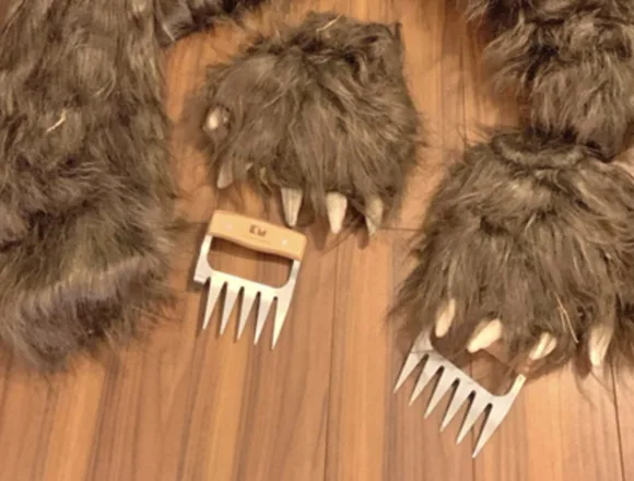 California bear-suit luxury car scam ends in insurance fraud sentences for 3