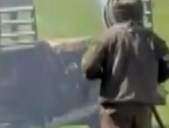 Truck carrying 1 million bees crashes in Tennessee