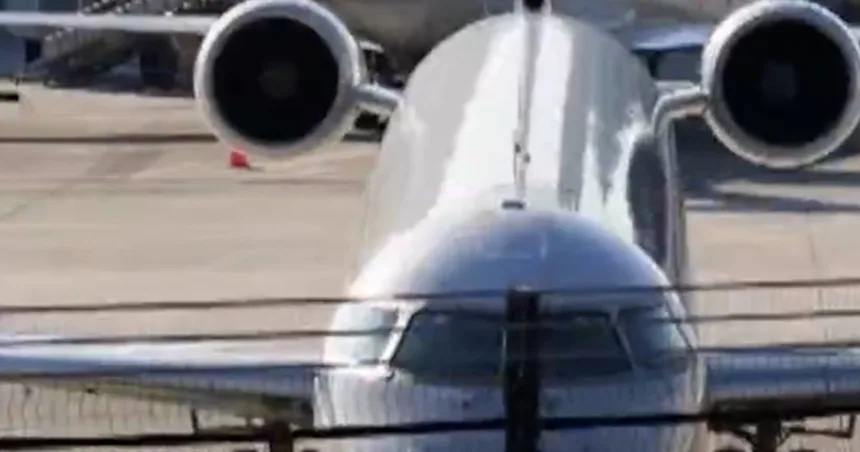 FAA investigating pilots who made animal noises on radio