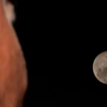 Artemis II crew set to return home after lunar journey