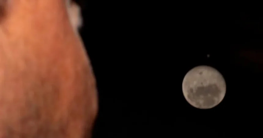 Artemis II crew set to return home after lunar journey