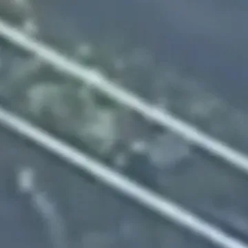 Customer throws cocaine back at seller as police arrive