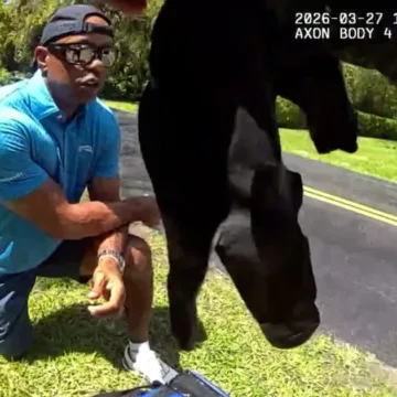 Bodycam footage shows the moments after Tiger Woods crash