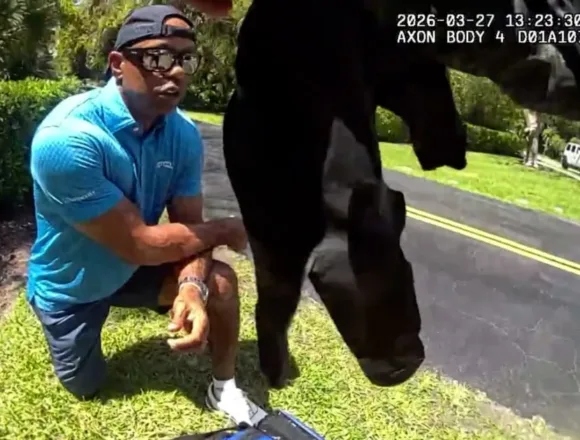 Bodycam footage shows the moments after Tiger Woods crash