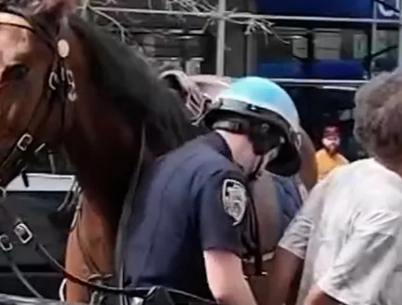 Police officer on horseback chases purse thief in New York