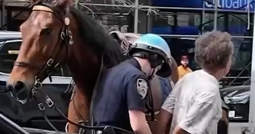 Police officer on horseback chases purse thief in New York