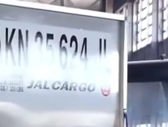 Japan Airlines trials humanoid robot baggage handlers