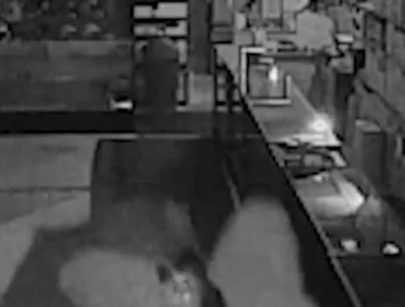 Thieves steal over $100,000 worth of Pokémon cards