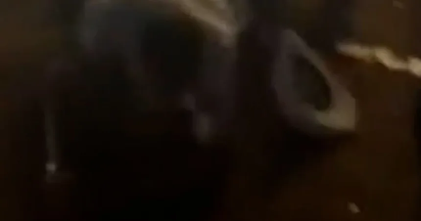 Several injured after stampede at a South Carolina rodeo