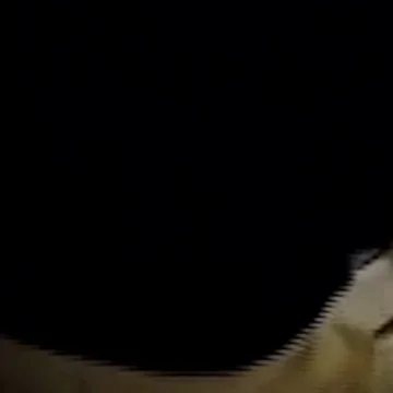 f_vet_brk_nutella_space_260407-phk0yi.jpg Jar of Nutella floats through Artemis II cabin