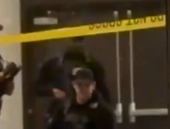Video shows suspect from WHCD shooting detained by officials