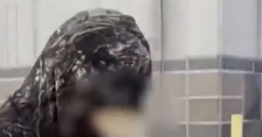 Teen charged with murder in stepsister’s cruise ship death