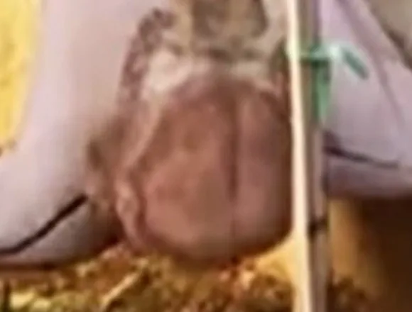 Israeli soldier smashing Jesus statue sparks outrage