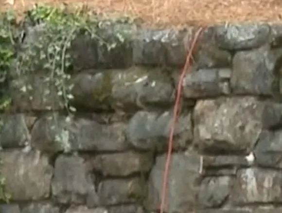 Pink tutus appear on statues across parks in Alabama